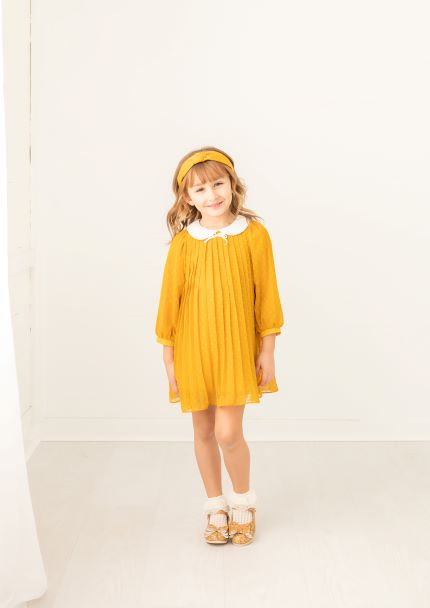 Evie’s Closet Fall22 Mustard Pleated Chiffon Dress